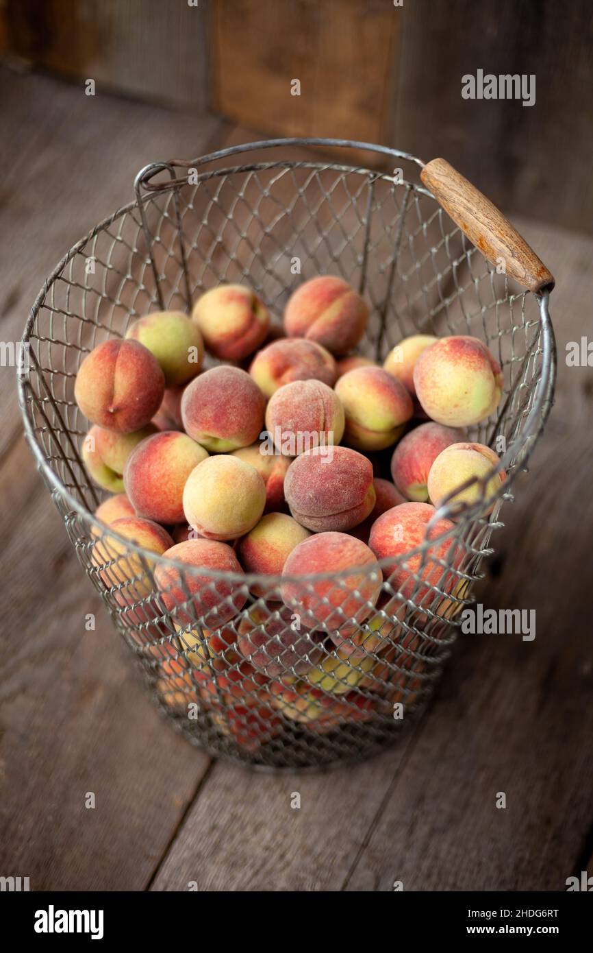 Frische Pfirsichfrüchte im Korb auf dunklem rustikalem Holzhintergrund, Draufsicht. Sommerernte der Früchte. Stillleben. Eine Gruppe reifer Pfirsich. Flaches veganes Essen. Speicherplatz kopieren. Stockfoto