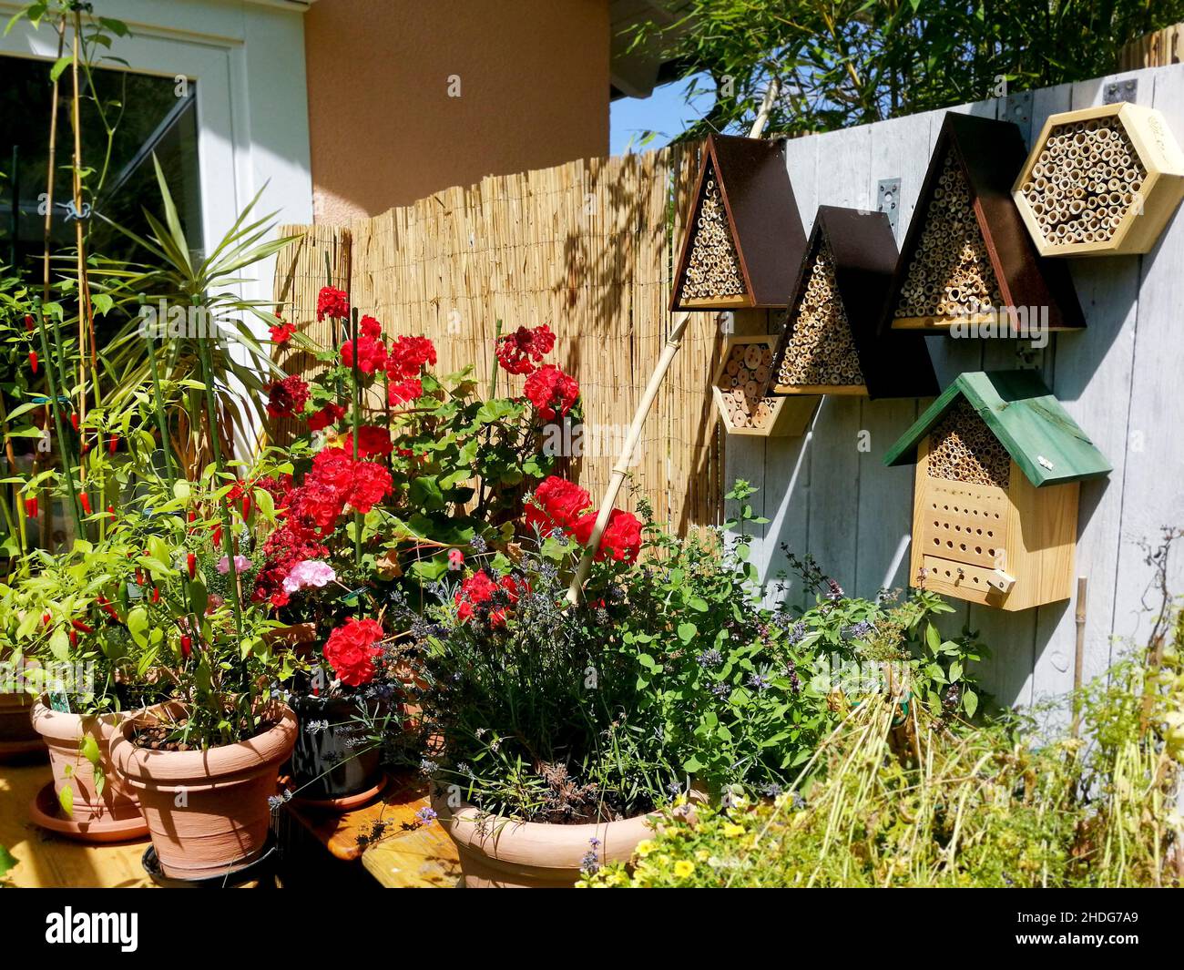 Garten, Balkon, Topfpflanzen, Terrasse, Vogelhaus, Insektenhotel, Grten,  Balkone, Topfpflanzen, Terrassen, Vogelhuser, Insektenhotels  Stockfotografie - Alamy