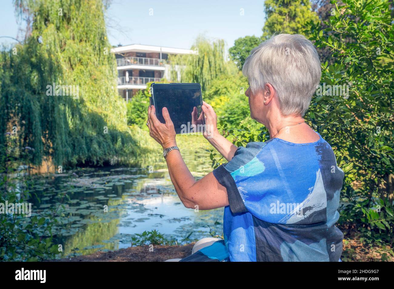 Senior, Foto, Tablet, Ältere, Alte, senioren, Fotografien, Tablets Stockfoto
