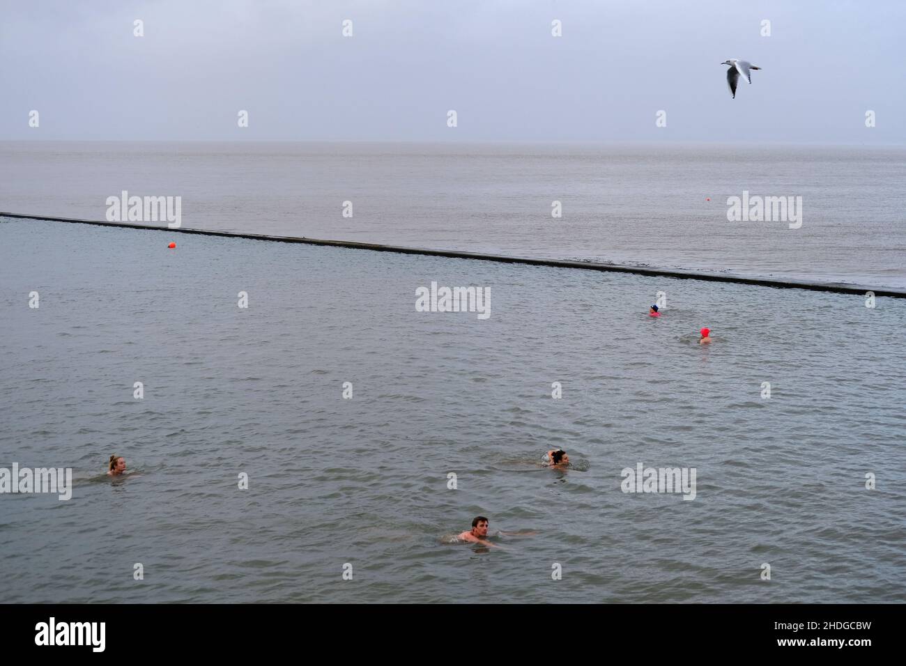 Schwimmen im Winter im Clevedon Pool am Neujahrstag. Stockfoto
