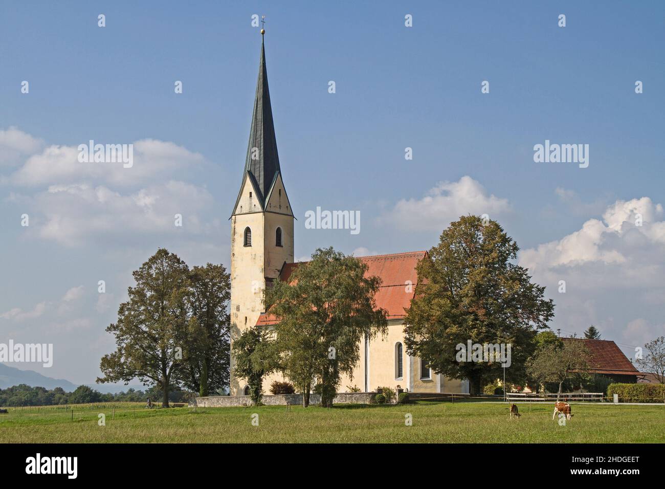 Wallfahrtskirche, St. leonhard, nußdorf am Gasthof, Heiligtümer, St. leonhards Stockfoto