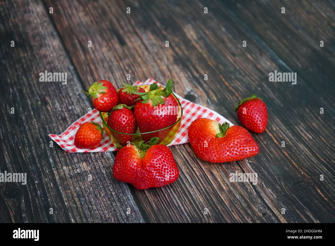 Frische Bio-Erdbeeren mit rot-weiß karierter Tischdecke auf einem rustikalen Holztisch. Stockfoto