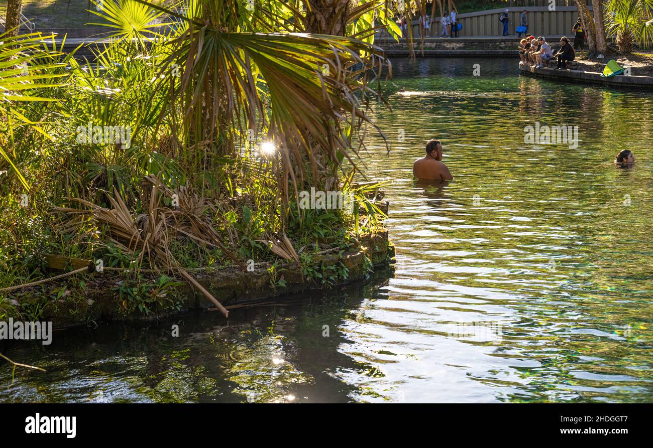 Menschen genießen die smaragdgrünen Quellen, die den Wekiwa River im Wekiwa Springs State Park in der Nähe von Orlando in Apopka, Florida, speisen. (USA) Stockfoto