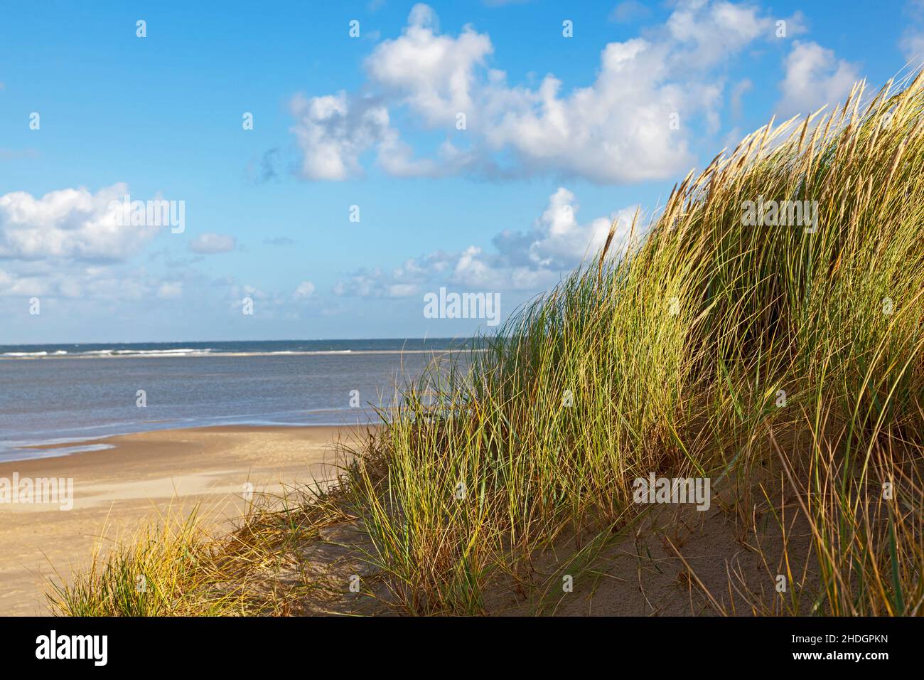 nordfriesland, Marrammgras, Insel, Nordfriesland, Inseln Stockfoto