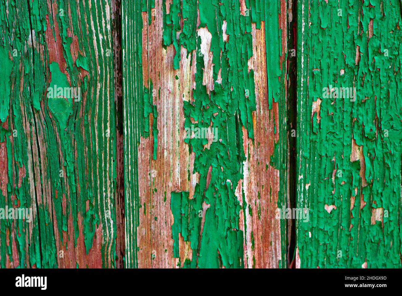 Grün, Patina, altes Holz, Grünpflanzen, Patina Stockfoto
