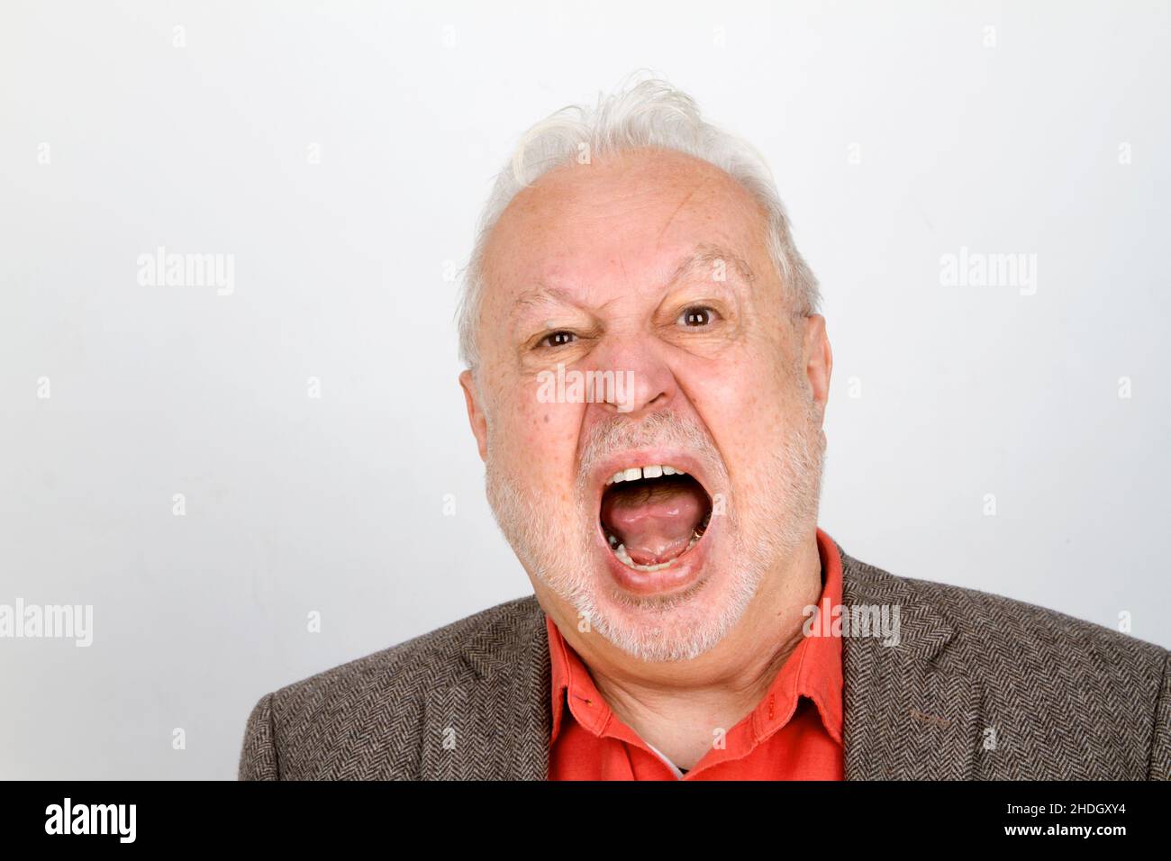 Mann, Senior, wütend, schreiend, Kerl, Männer, ältere Menschen, alt, Senioren, wütend, Erzrütteln, Schreien, Schreien, Schreien Stockfoto