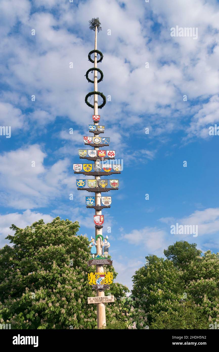 Zoll, Maibaum, Zumpf-Zeichen, Brauch, Maibaum, Zumpft-Schilder  Stockfotografie - Alamy