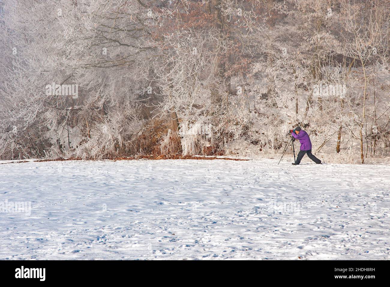 Winterlandschaft, Fotograf, Foto, Landschaft, Landschaften, Winterlandschaften, fotograf, Fotografen, Fotografien Stockfoto