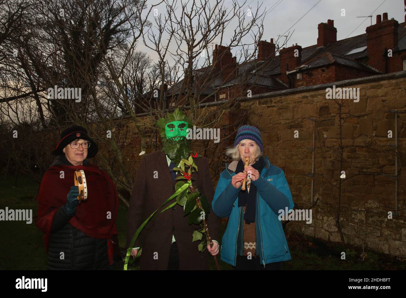 Newcastle upon Tyne, Großbritannien, 6.. Januar 2022: The Green man - Zwölfte Nacht-feiern Anstoßen oder "Wassail" auf die Obstbäume in Jesmond, Newcastle, das Symbol des Grünen Mannes, der nach einem langen Winter und der Erneuerung der üppigen Vegetation im Frühjahr verkündet, Newcastle upon Tyne, Großbritannien, 6. Jan 2022, Credit: DEW/Alamy Live News Stockfoto