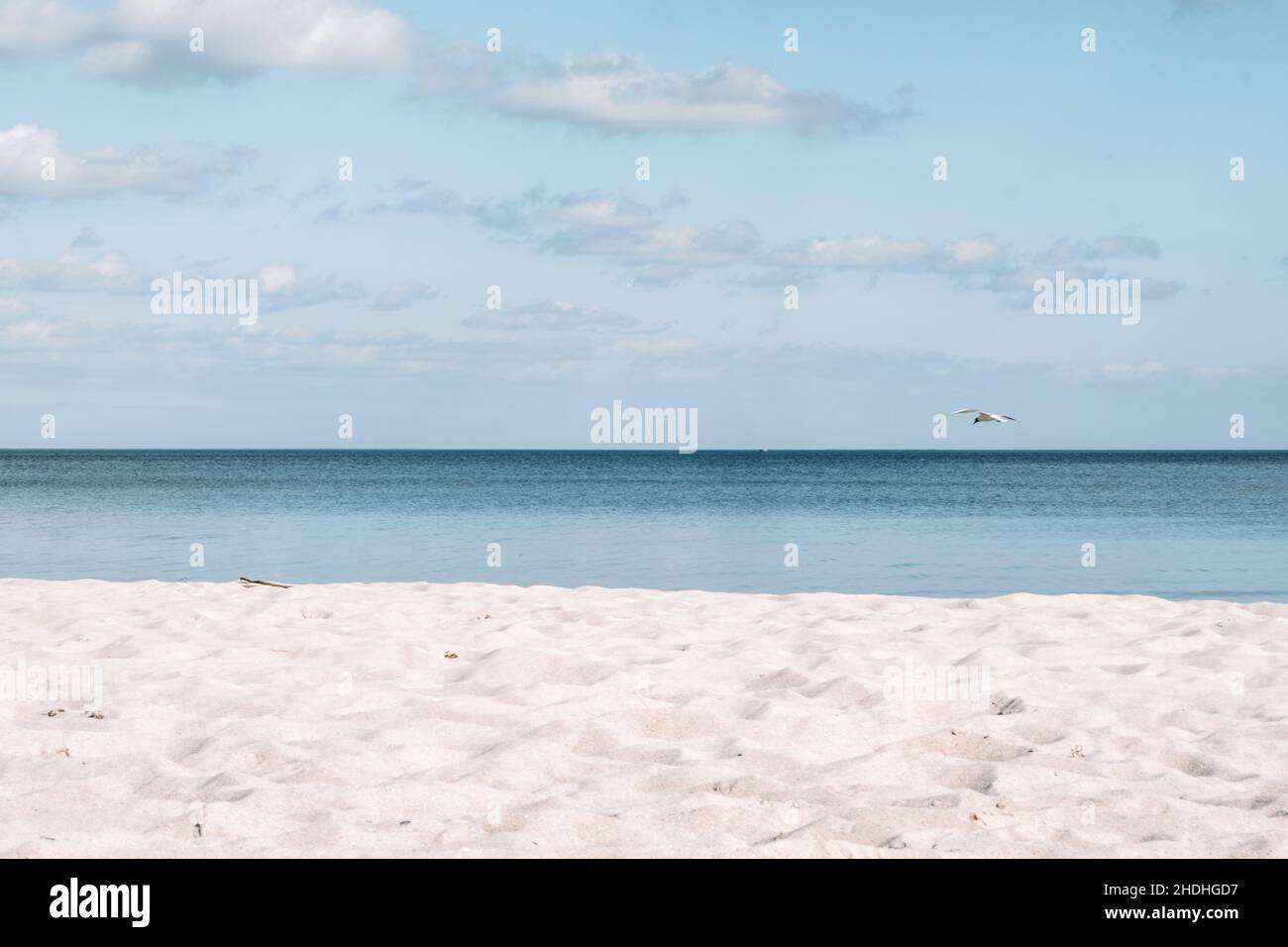 Strand, lübecker Bucht, Strände, Meer, lübecks Bucht Stockfoto