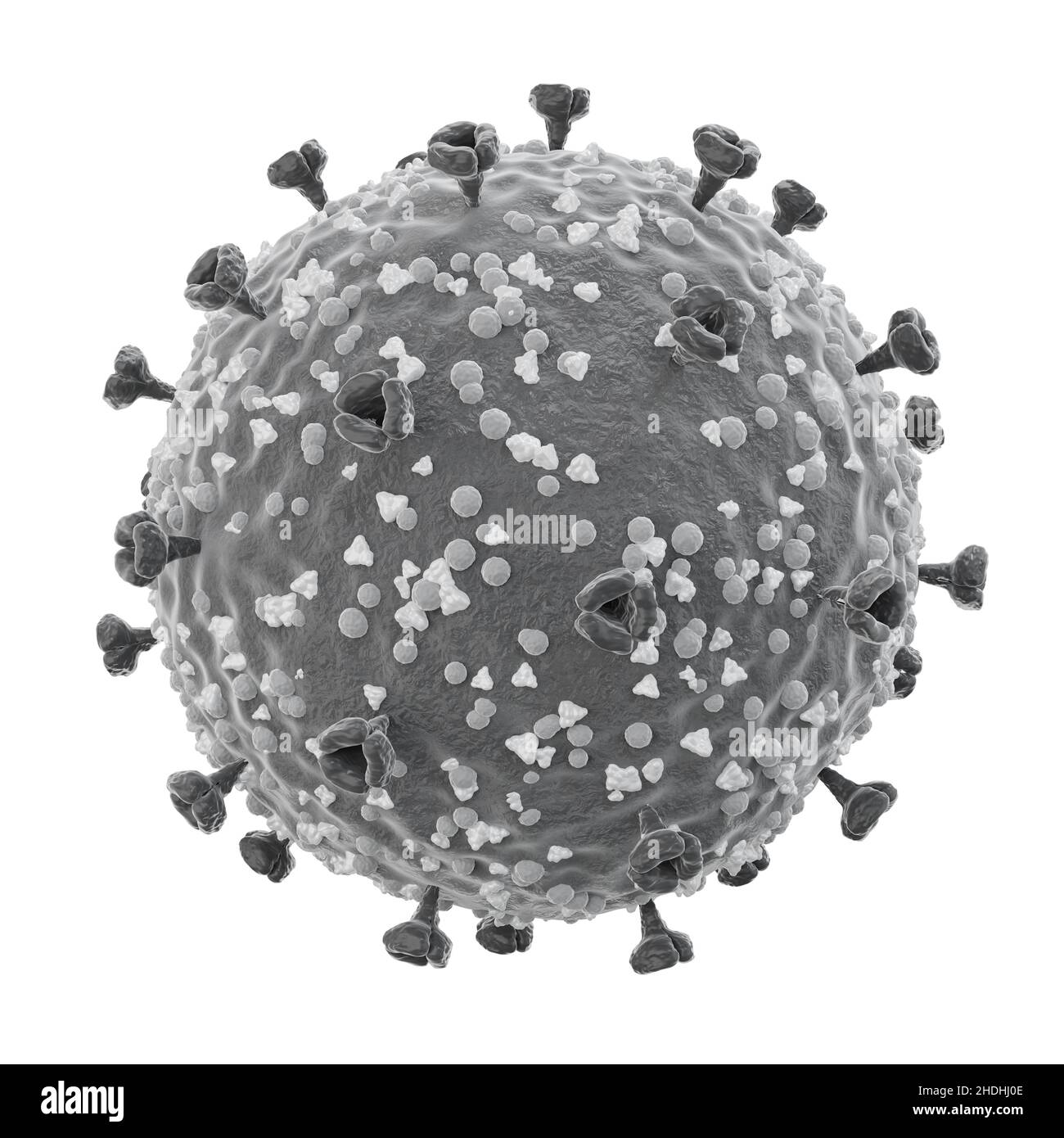 COVID-19 . Struktur des Corona-Virus . Spike Glykoprotein und Hüllprotein und Membranprotein . Feine detaillierte Textur . Schwarz-weiße Farbe . Stockfoto