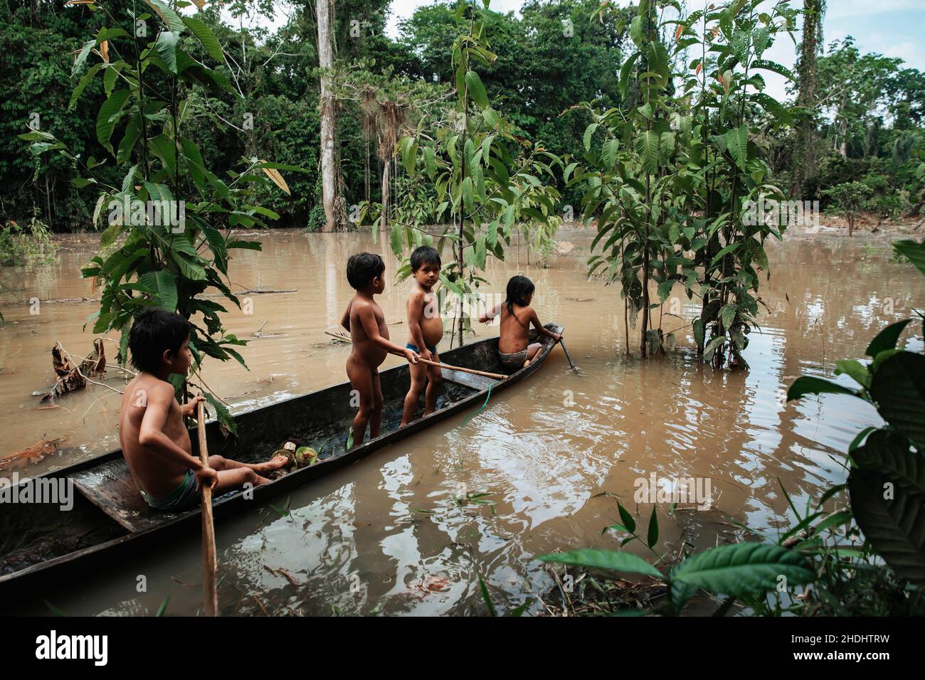 Indigene Kinder rudern den Amazonas entlang, Ecuador Stockfoto