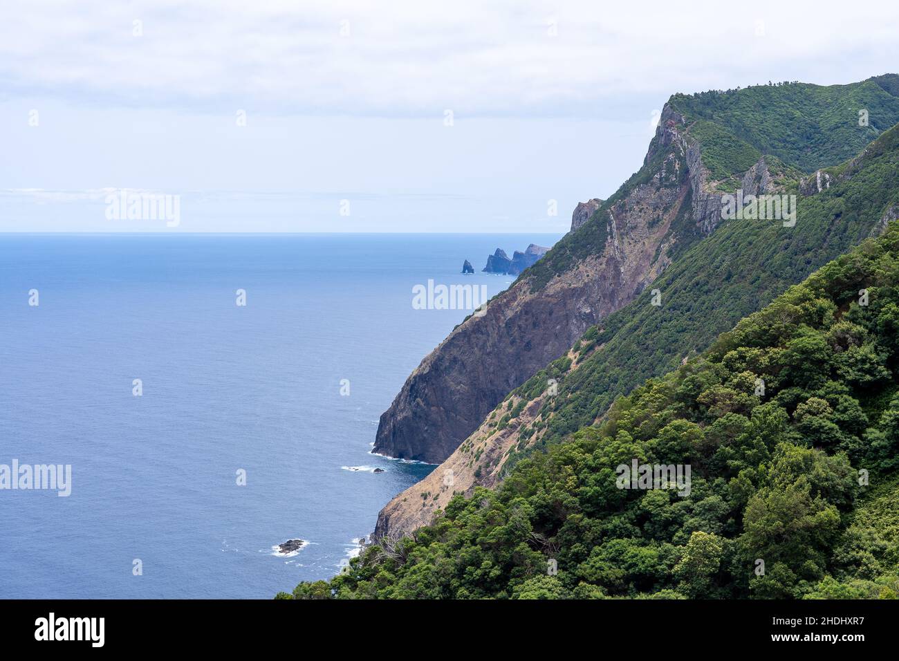 Die Vereda da Boca do Risco verbindet die Küstendörfer Porto da Cruz und Canical, an der östlichen Spitze der Insel Madeira. Stockfoto