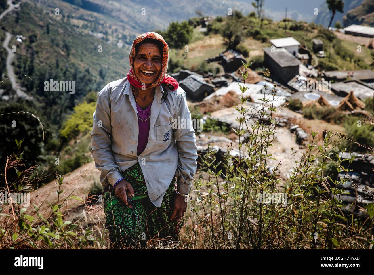 Mark Fox Photography Stockfoto