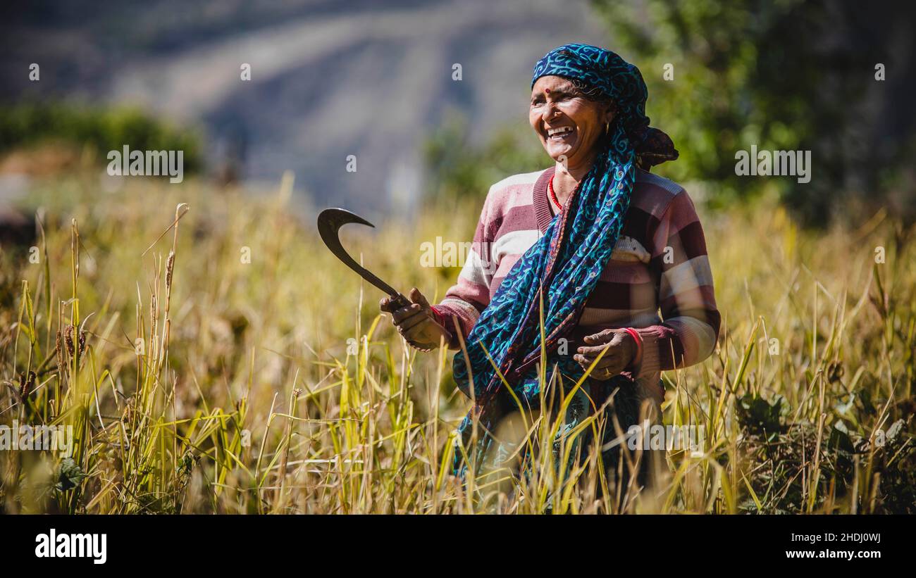 Mark Fox Photography Stockfoto