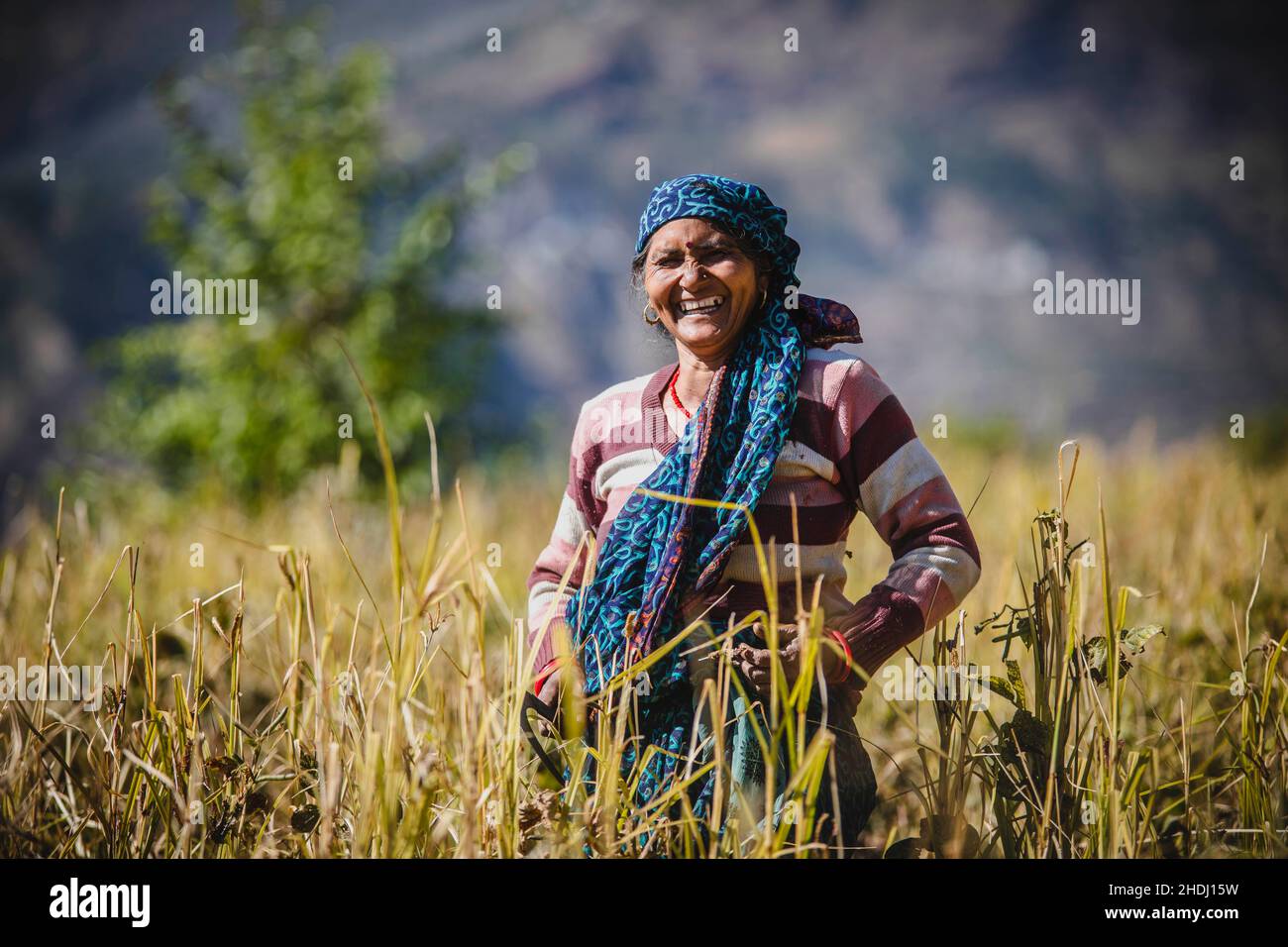 Mark Fox Photography Stockfoto