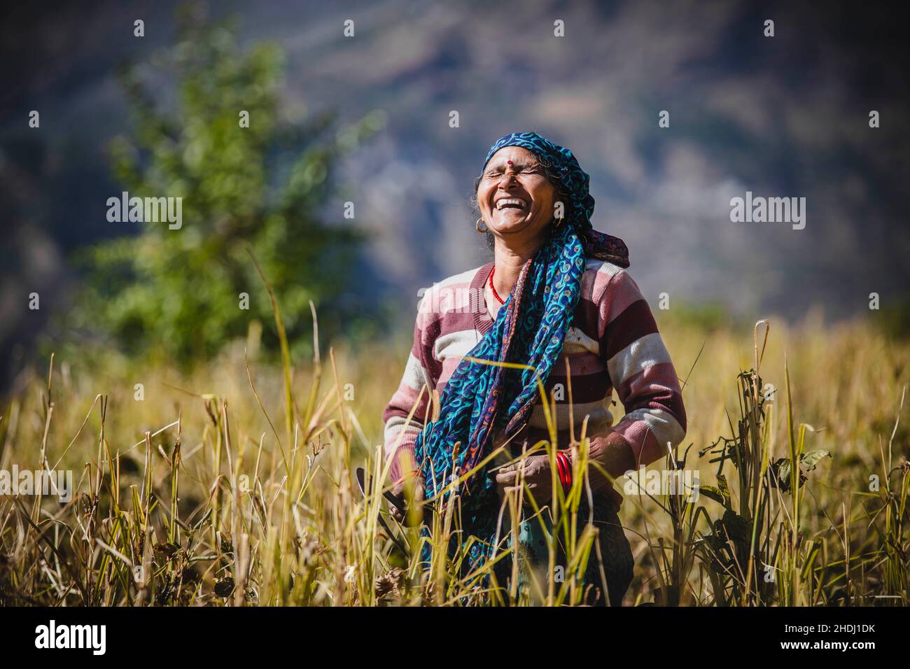 Mark Fox Photography Stockfoto