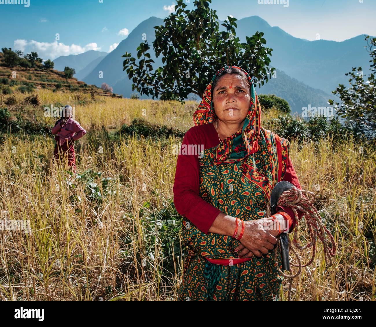 Mark Fox Photography Stockfoto