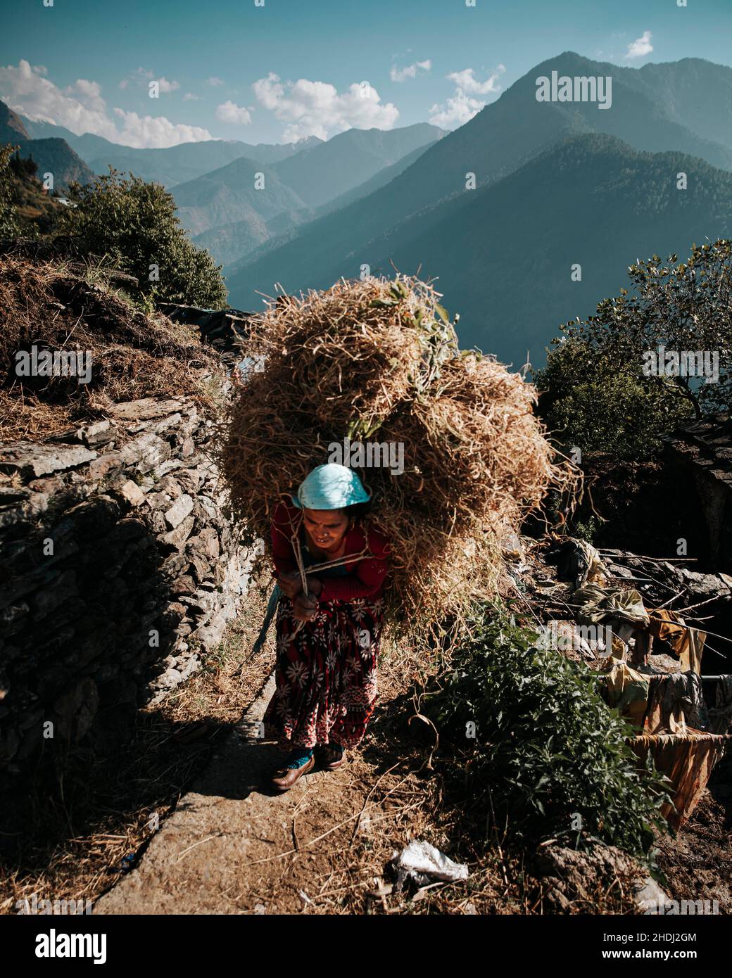 Mark Fox Photography Stockfoto