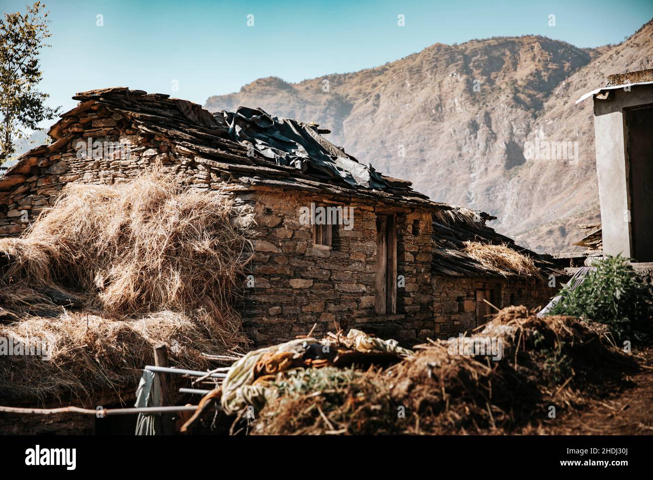 Mark Fox Photography Stockfoto