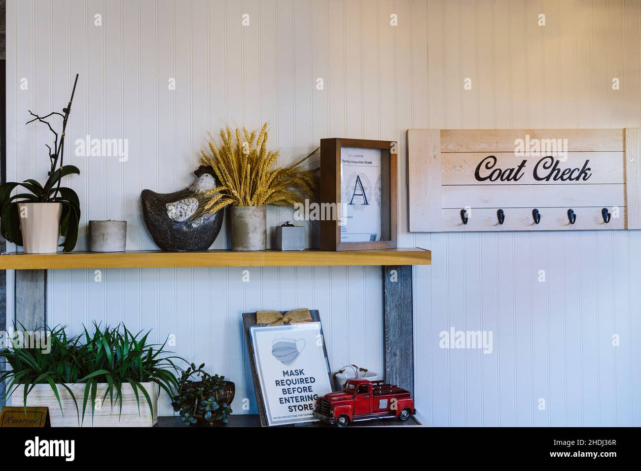 Regale mit Dekoration und Pflanzen. An der weißen Wand hängendes Garderobenregal Stockfoto