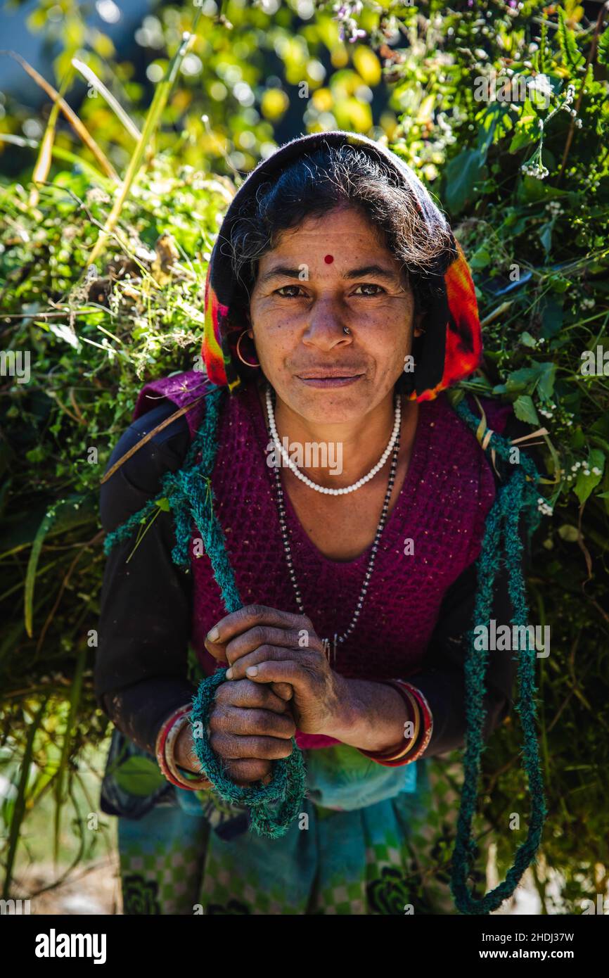 Mark Fox Photography Stockfoto