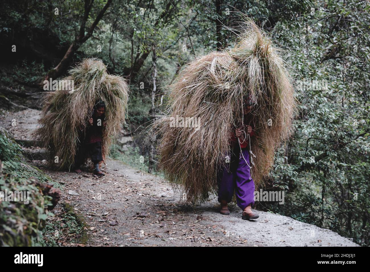 Mark Fox Photography Stockfoto