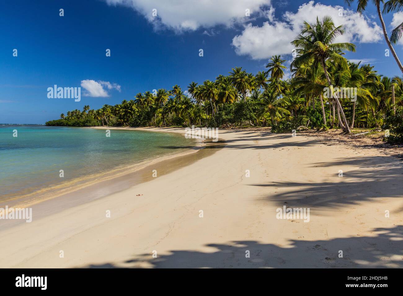 Strand in Las Terrenas, Dominikanische Republik Stockfoto