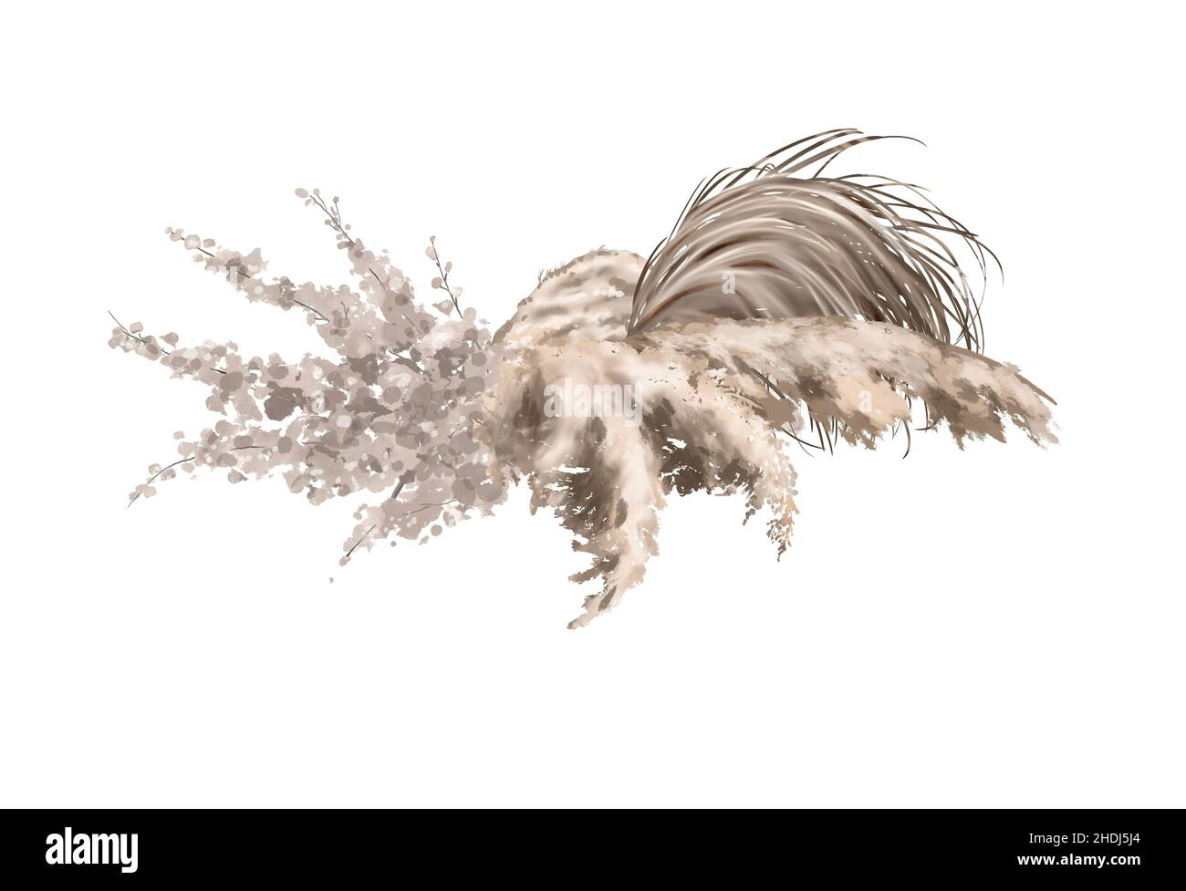 Aquarell Pampas Gras isoliert auf einem weißen Hintergrund. Bouquet von trockenen Kräutern. Modische Einrichtung Stockfoto