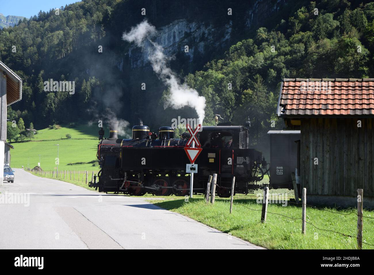 Dampflokomotive, Schmalspurbahn, Bregenzer Forstbahn , Dampflokomotiven, Schmalspurbahnen Stockfoto
