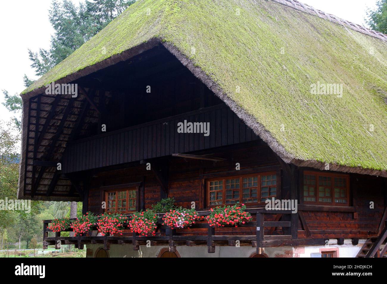 Schwarzwald, Bauernhaus, Walmdach, Schwarzwaldhaus, Schwarzwälder, Holz, Bauernhäuser, Walmdächer Stockfoto