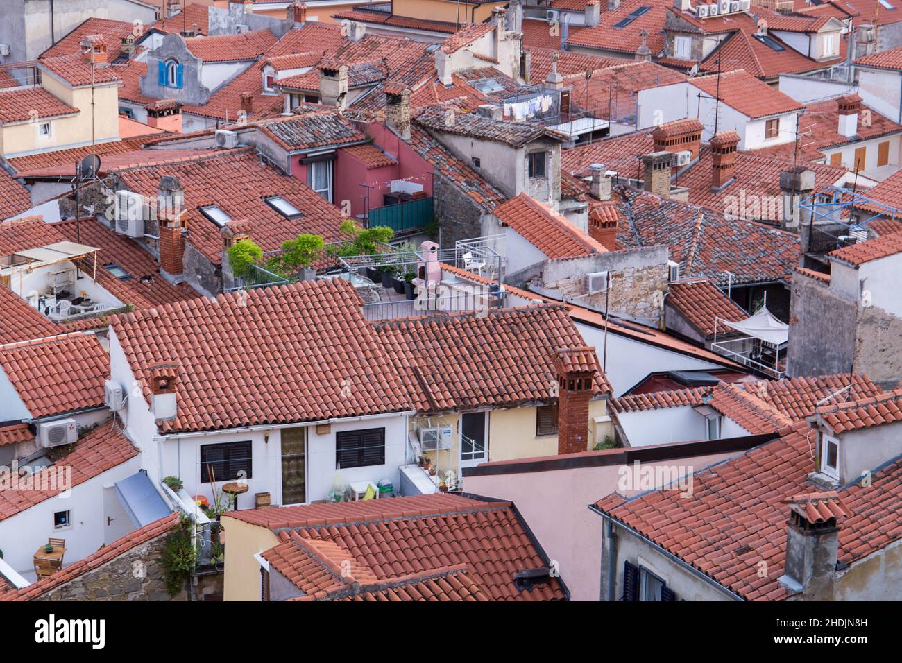 Blick über die Dächer des malerischen Dorfes Piran in Slowenien Stockfoto