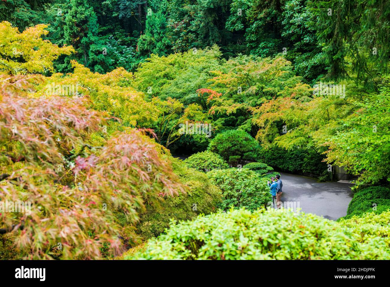 Herbstfarben; Portland Japanese Gardens; Portland; Oregon; USA Stockfoto