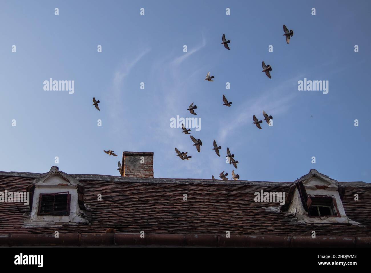 Nahaufnahme von alten Dächern mit Fenstern und einem Hintergrund von Vögeln, die am blauen Himmel fliegen Stockfoto
