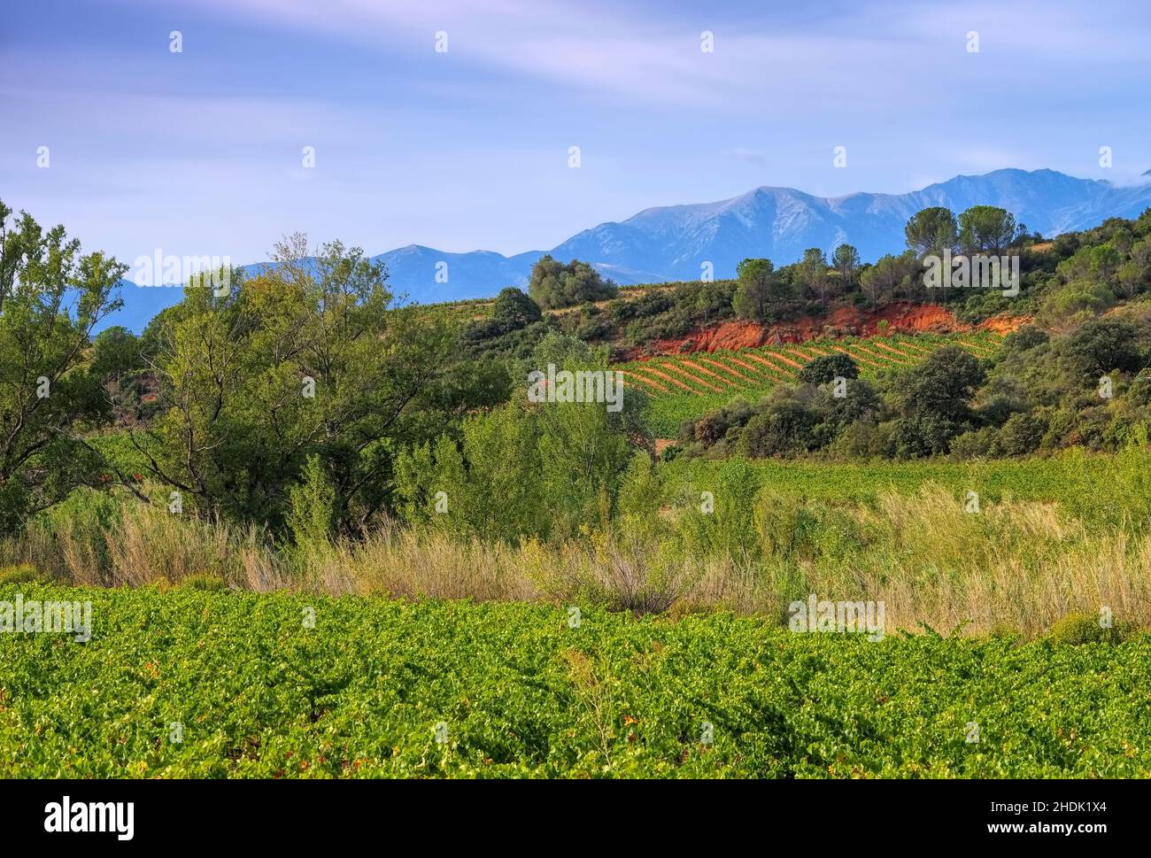 Corbieres region Fotos und Bildmaterial in hoher Auflösung Alamy