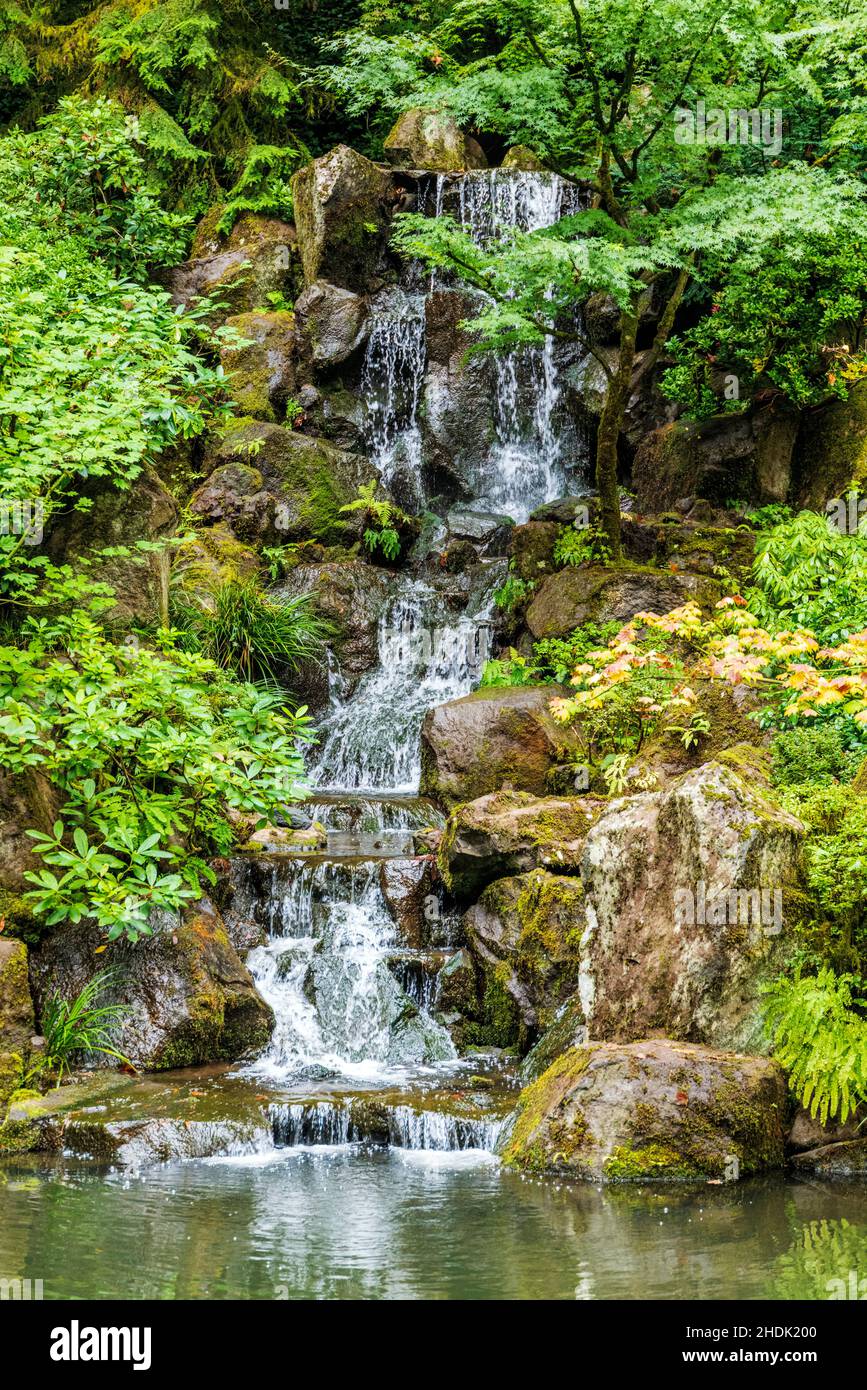 Wasserfall und Teich; Bummelgarten; Portland Japanese Gardens; Portland; Oregon; USA Stockfoto