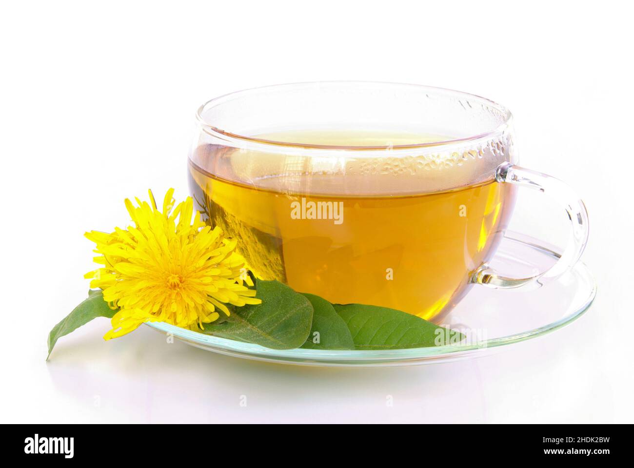 Kräutertee, Dandelion Tee, Kräutertees, Dandelion, Dandelion Tees Stockfoto