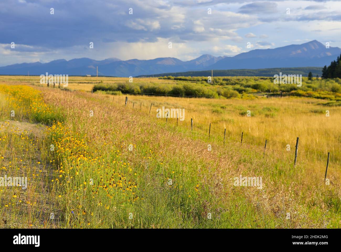 Ein landschaftlich reizvoller Herbstabend entlang des Highway 24, nördlich von Leadville CO Stockfoto