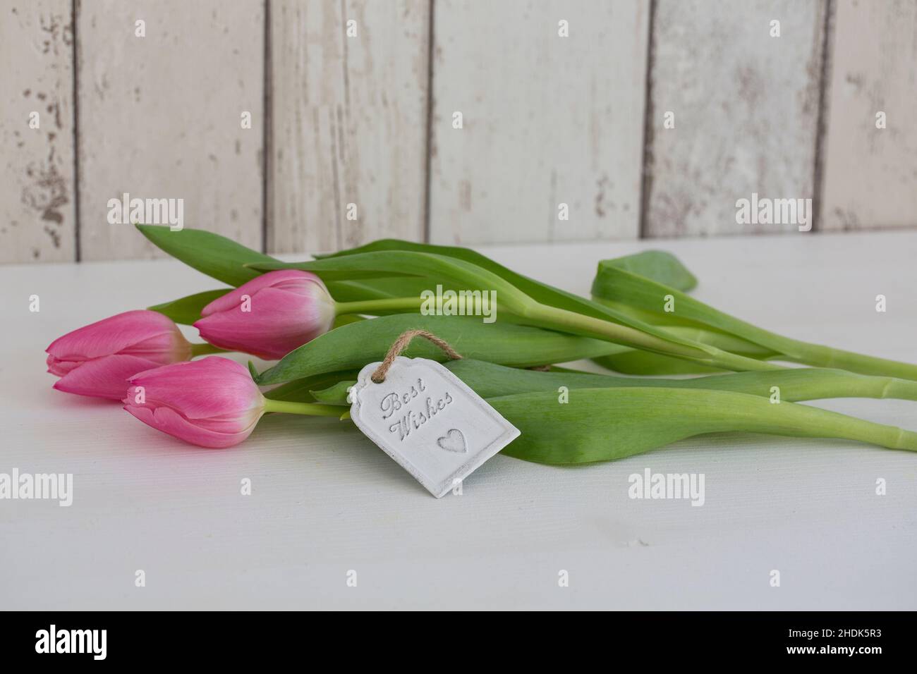 Tulpenstrauß, Tulpen, Beste Wünsche, Tulpensträuße, Tulpe Stockfoto