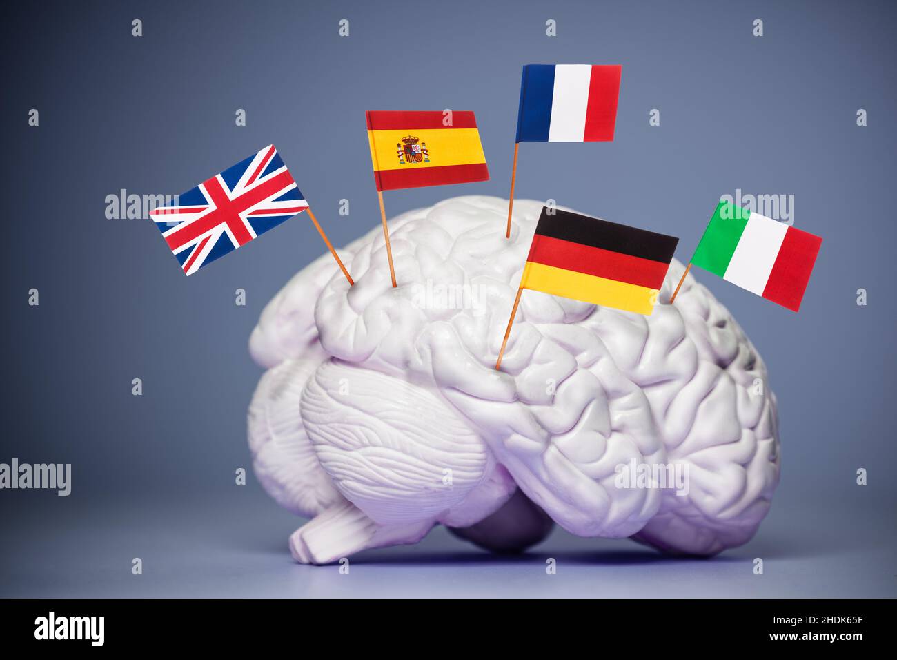 Mehrsprachiges Smart-Brain-Konzept, viele europäische Flaggen Stockfoto