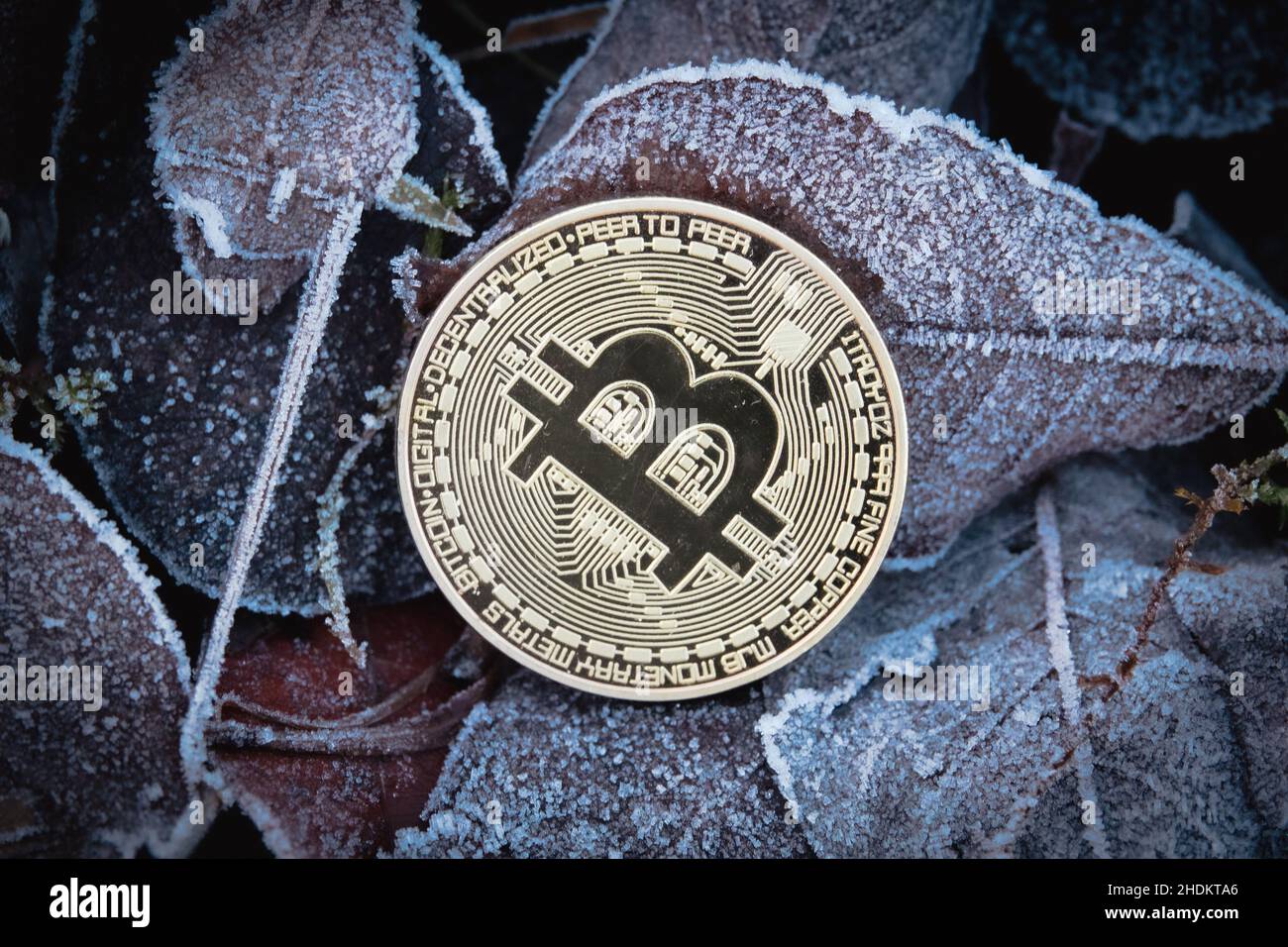 bitcoin-Münze liegt auf frostbedeckten Blättern Stockfoto