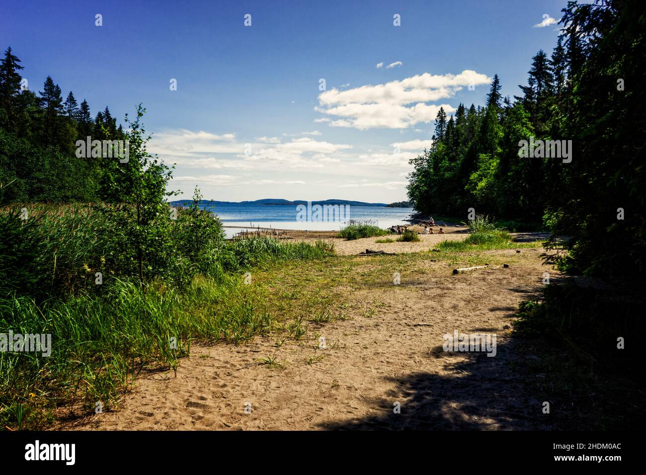 Eine Bucht an der Küste im Nationalpark Höga kusten Stockfoto