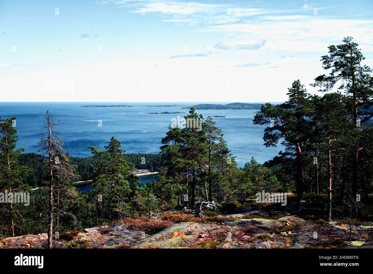 Eine Bucht im Nationalpark Höga Kusten Stockfoto