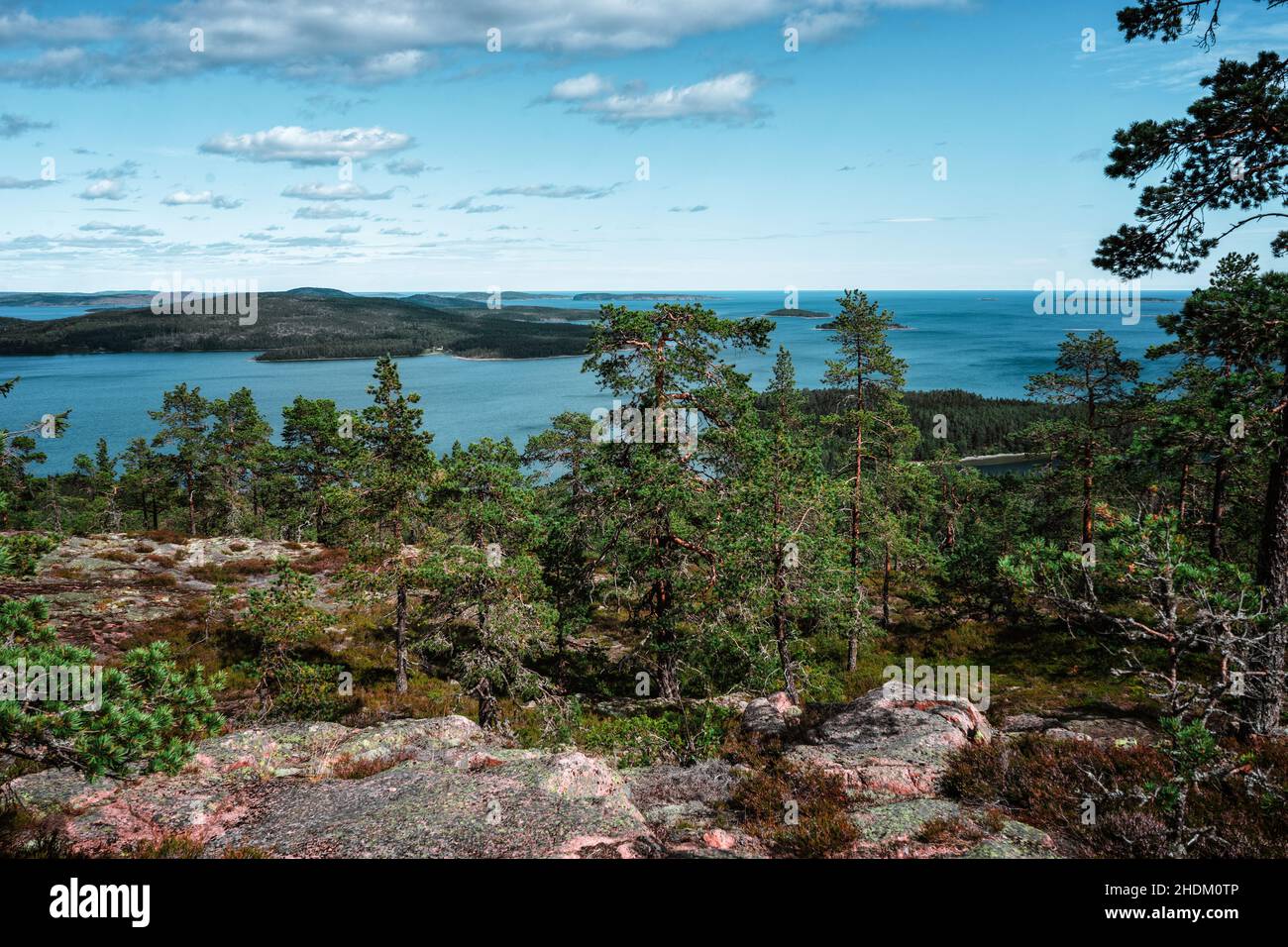 Eine Bucht im Nationalpark Höga Kusten Stockfoto