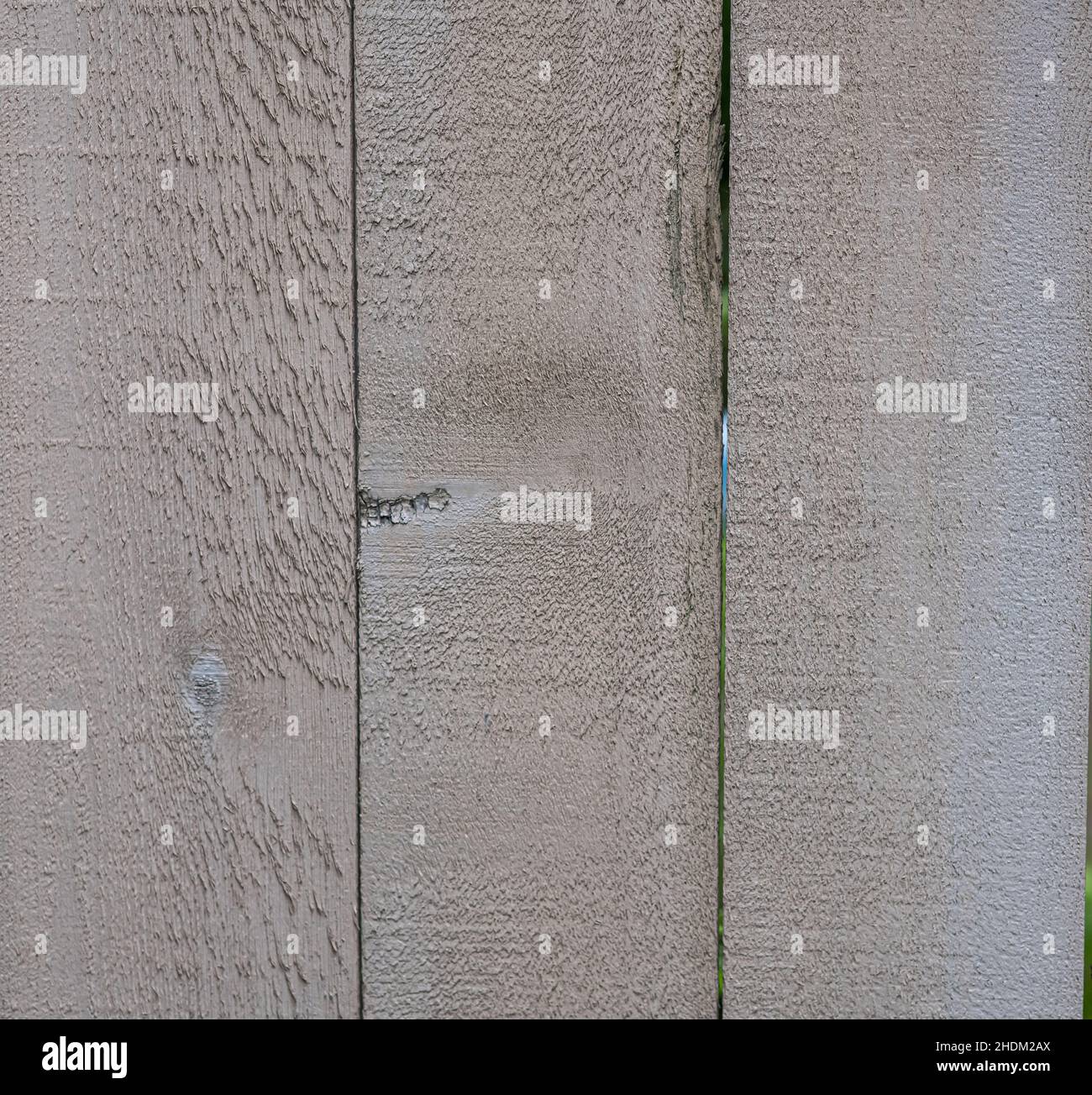Trockenes Gras in der Nähe von Holzzaun, hellbeiger Hintergrund mit Platz für Text. Stockfoto