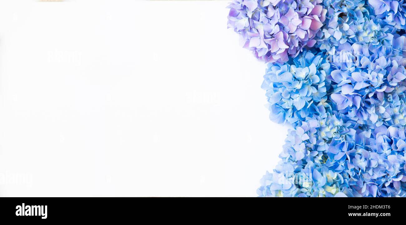 Happy Mother's Day Frühling Blumen Hintergrund mit Platz für Text kopieren Stockfoto