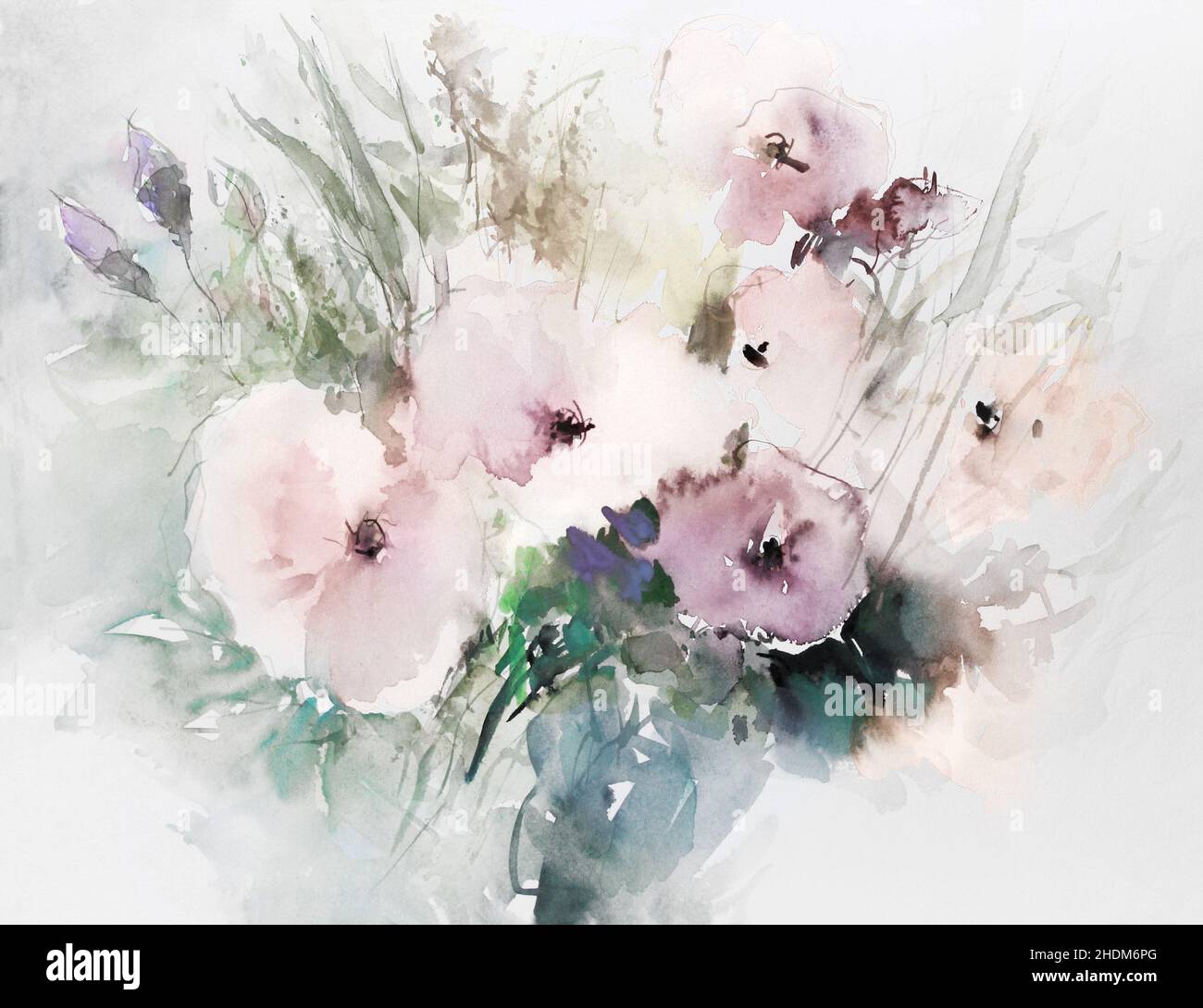 Aquarell, Mohnblumen, Sommerblumen, Mohn Stockfoto