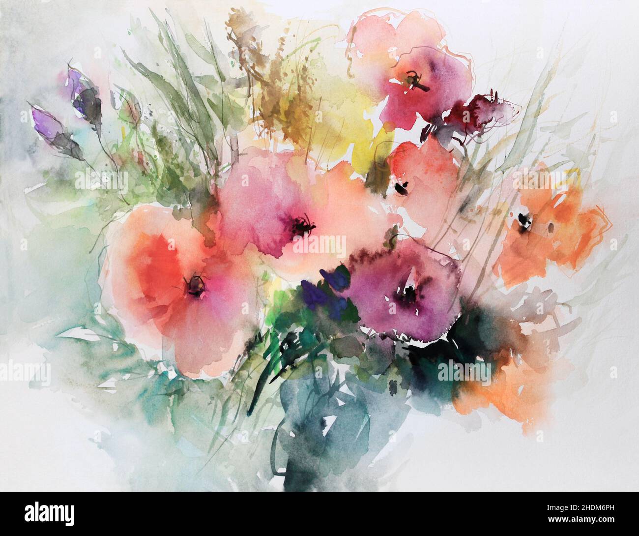 Aquarell, Mohnblumen, Mohn Stockfoto
