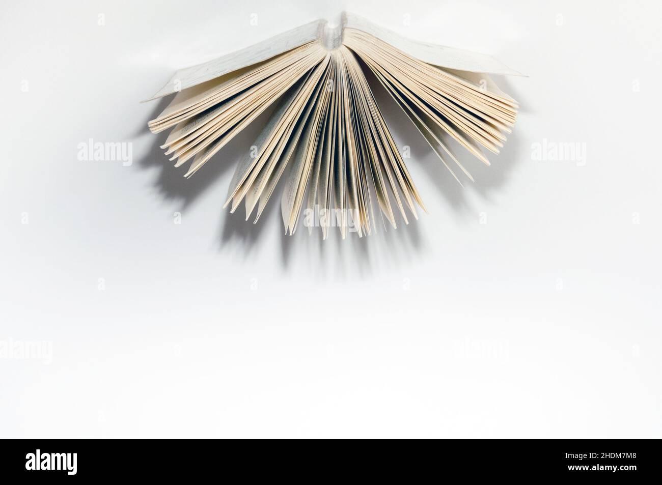 Bildung, Literatur, Wissen, Bildung, Literaturen, Fachkenntnisse Stockfoto