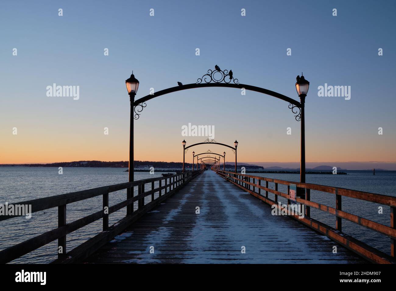 Blick direkt auf den hölzernen Pier von White Rock durch die Mitte der dekorativen Laternenpfosten, wo sich Tauben aufhalten, um den Blick auf die Blue Hour und den Sonnenaufgang zu genießen Stockfoto